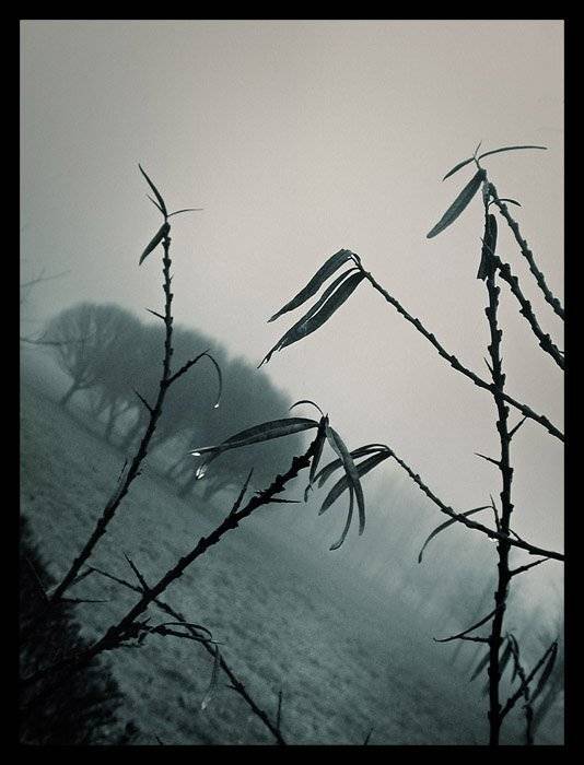 drops, Nadia Romanova