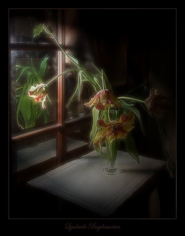 Ночное ожидание под фонарем... фото превью