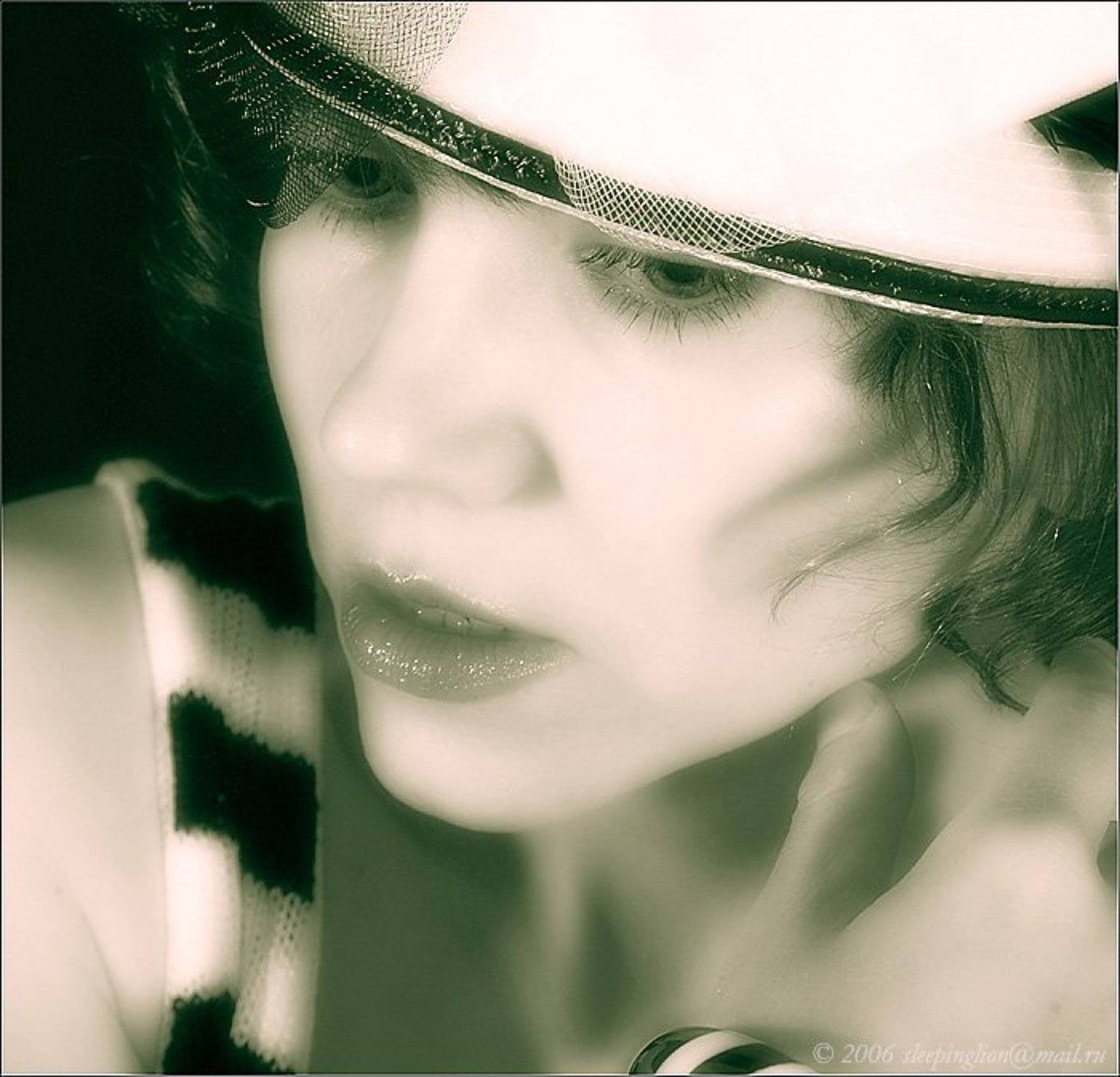 портрет на темном фоне, Pilgrim