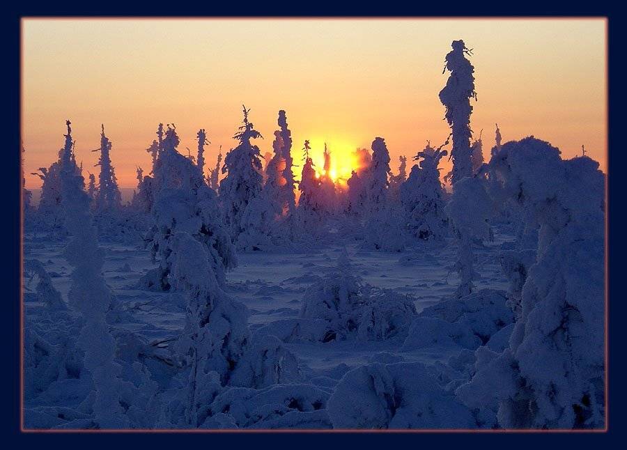 зима,рассвет,якутия, Солодухин Виктор