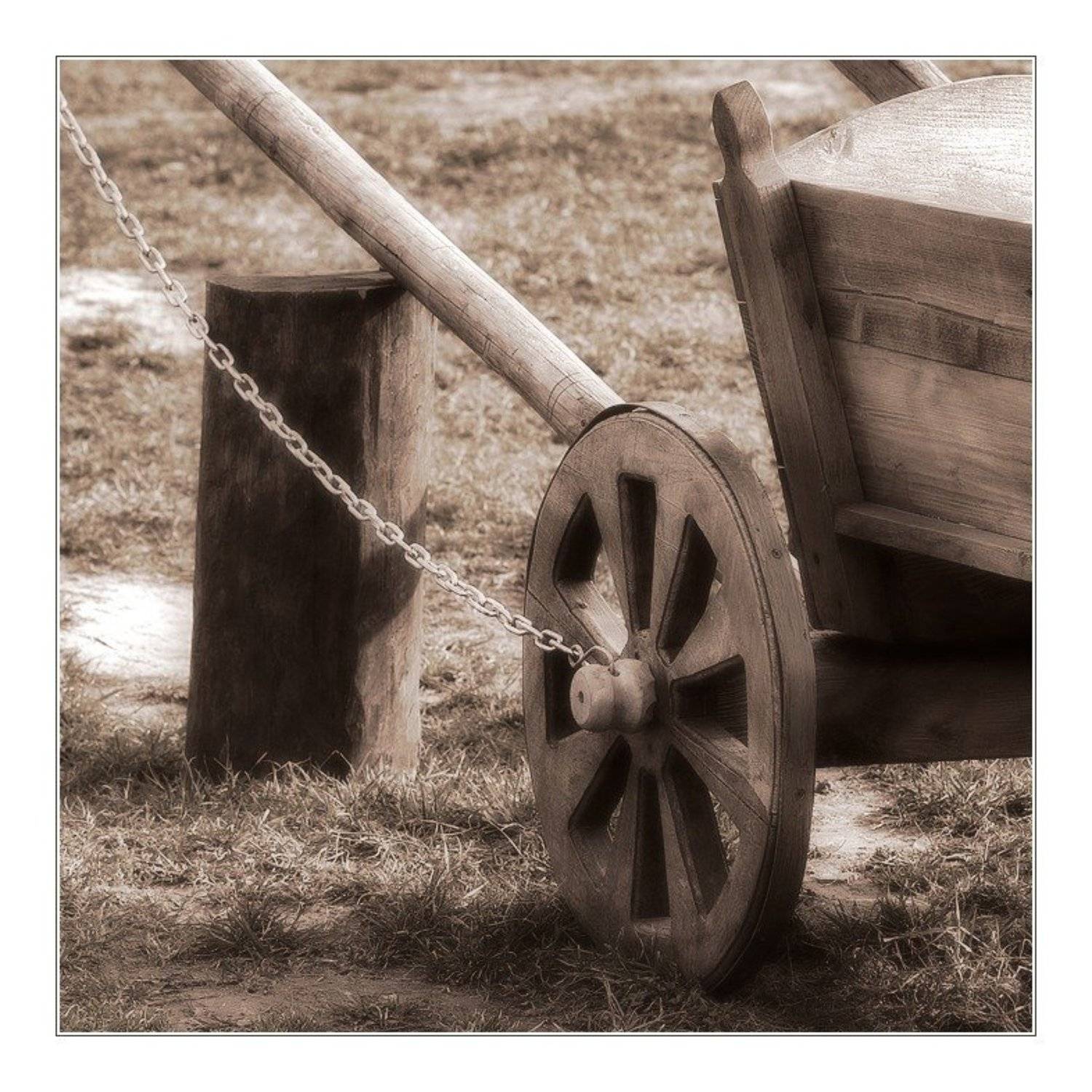 колесо, телега, дерево, утро, i_go, i_GO