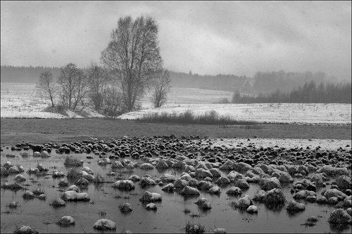 ЧБ картинка про речку, метель, деревья и дом вдалеке