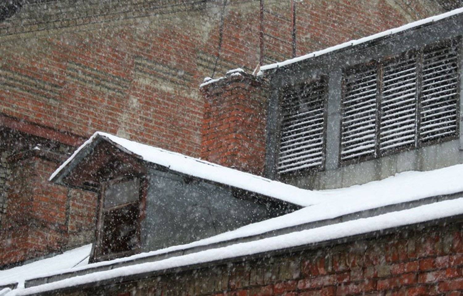 метель снег, Эвелина Гигуль