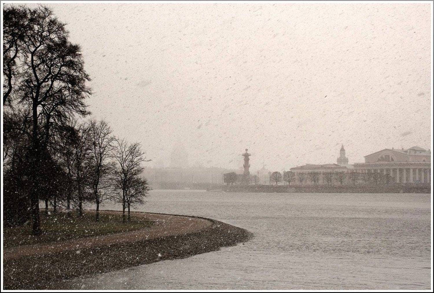 питер, петербург, стрелка, весна, снегопад, Братаев Юра
