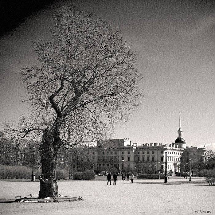 , Дмитрий Плотникофф