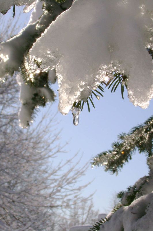 снег 10 апреля фото превью