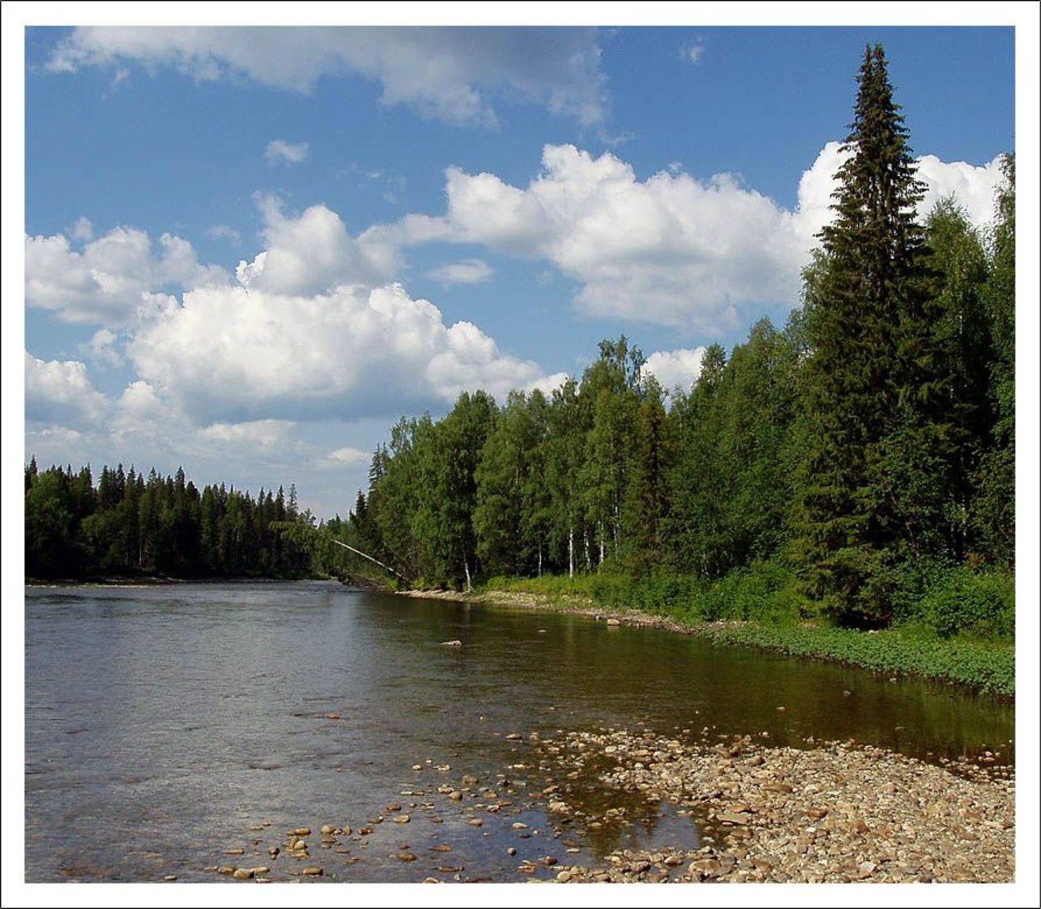 северный урал, р.улс, лето, И.И.