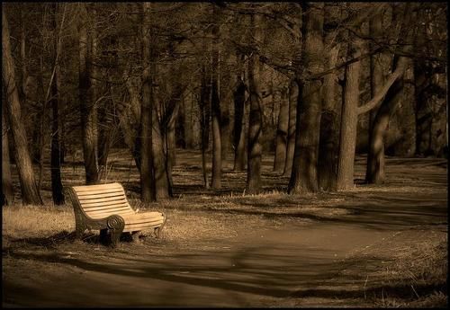 Alone...
