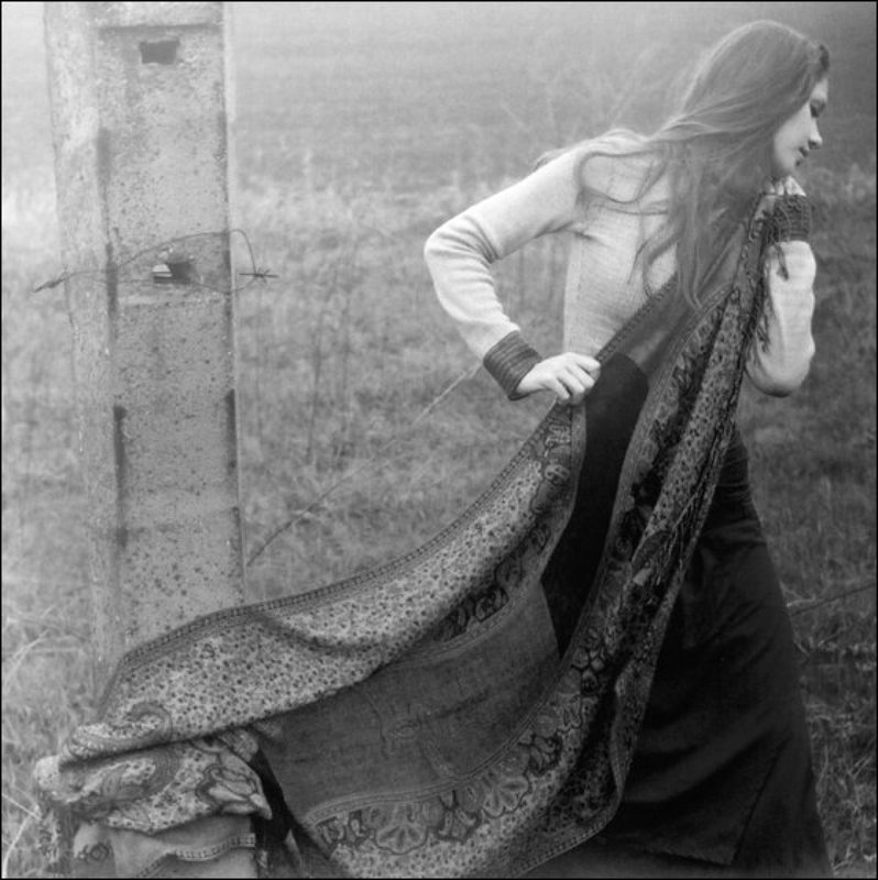 Fog фото превью