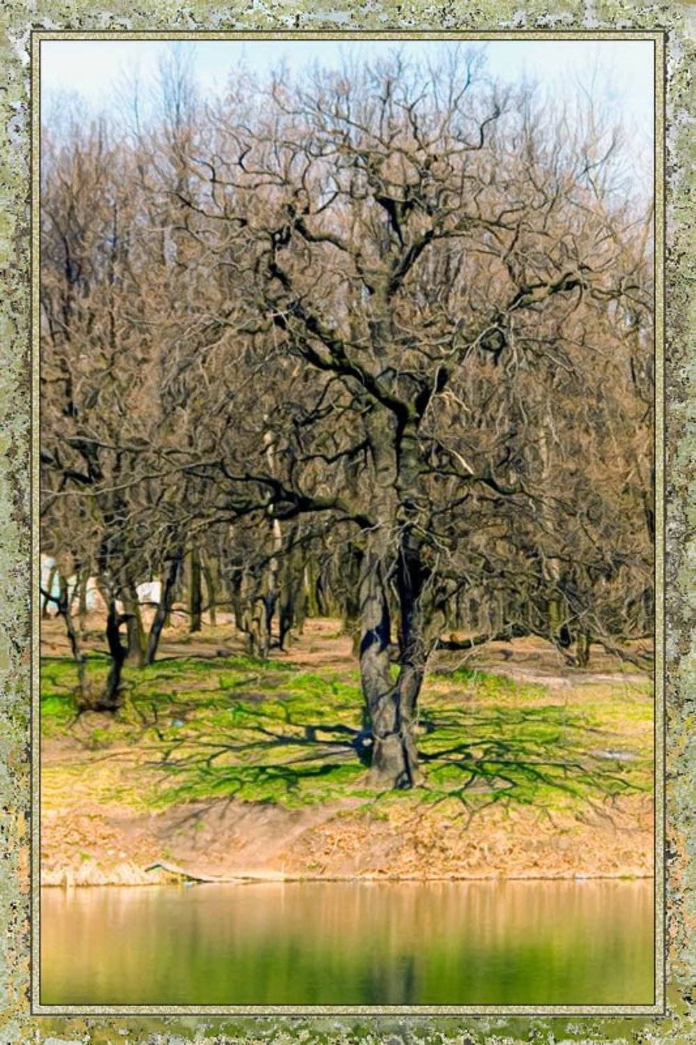 , Александр Батурский