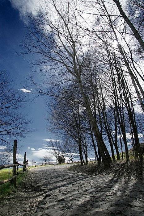 природа, Sound Wave