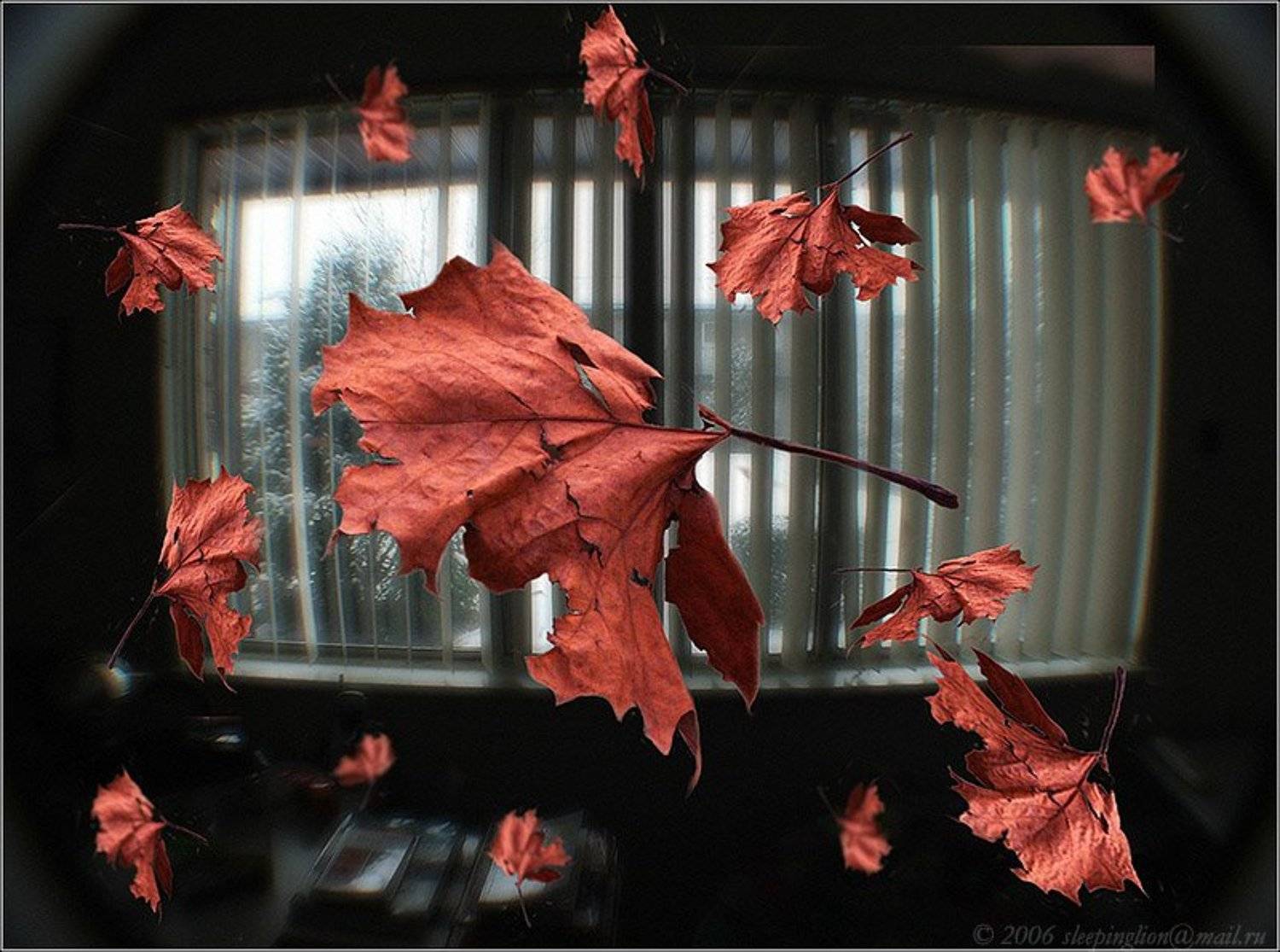 а за окном падал снег..., Pilgrim