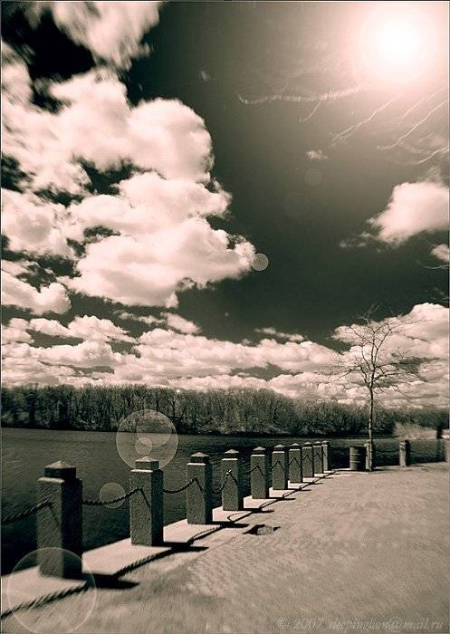 инфракрасный пейзаж и блюз, Pilgrim