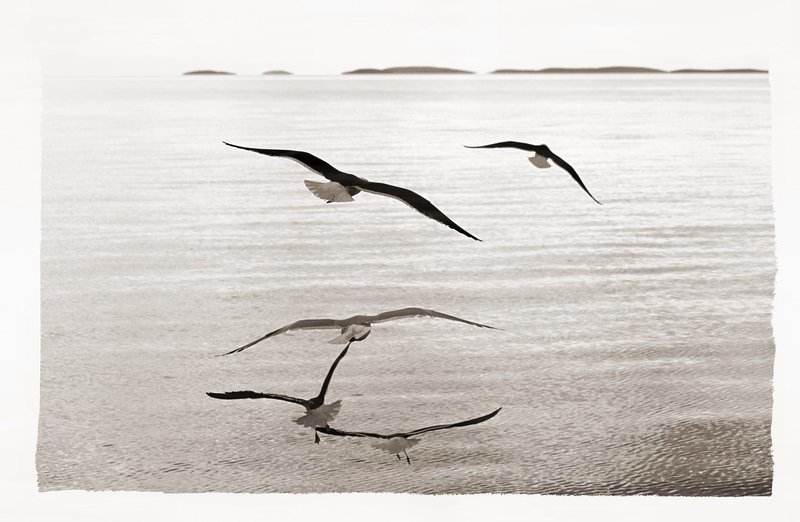 соловки Путь на Соловки... фото превью