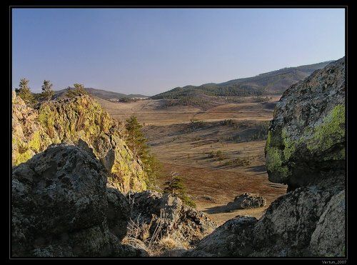 Лекарство от тоски