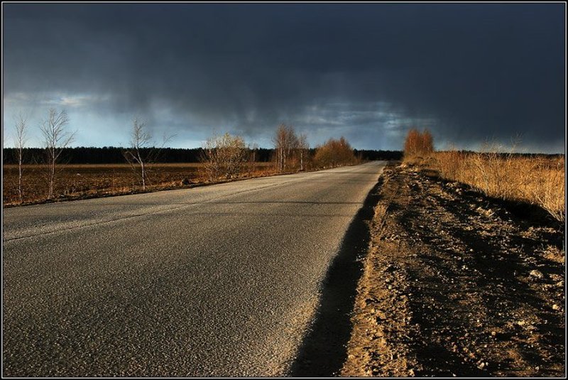 природа, поле, дорога, лес, туча, дождь, солнце, трава, асфальт, dyadyavasya Дорога к дождю фото превью