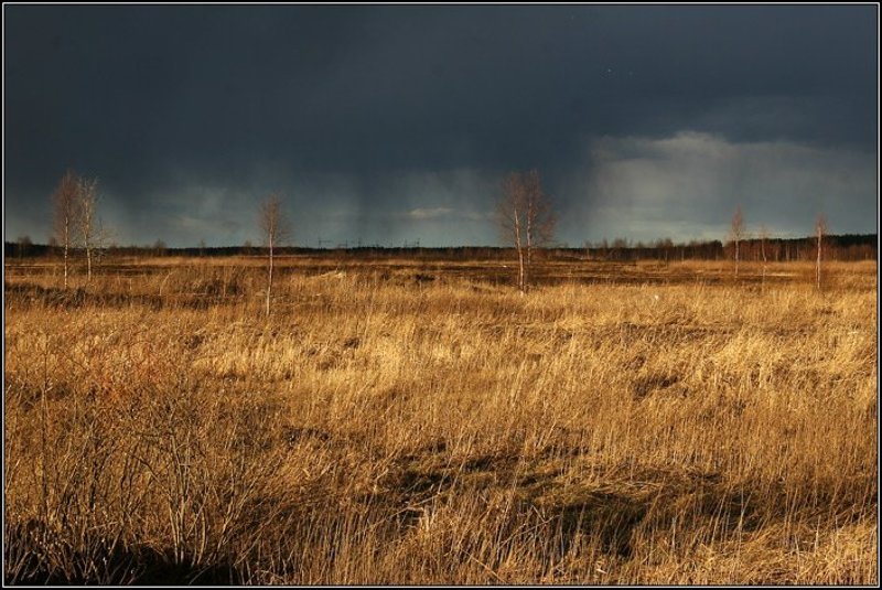 трава, весна, небо, туча, дождь, солнце, вечер, поле, дерево, dyadyavasya Поле и дождь на горизонте фото превью