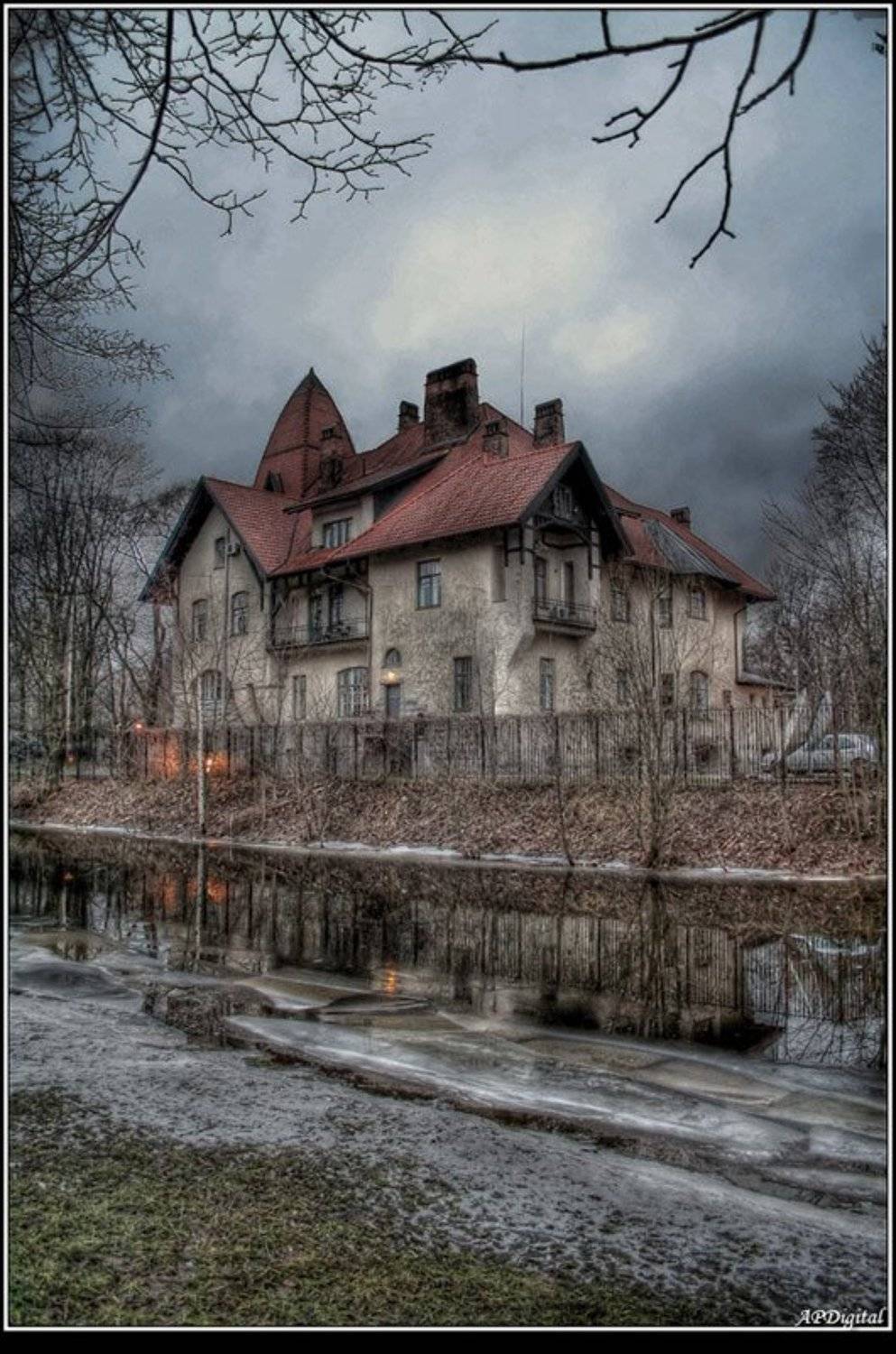 каменный остров петербург, A_Pol