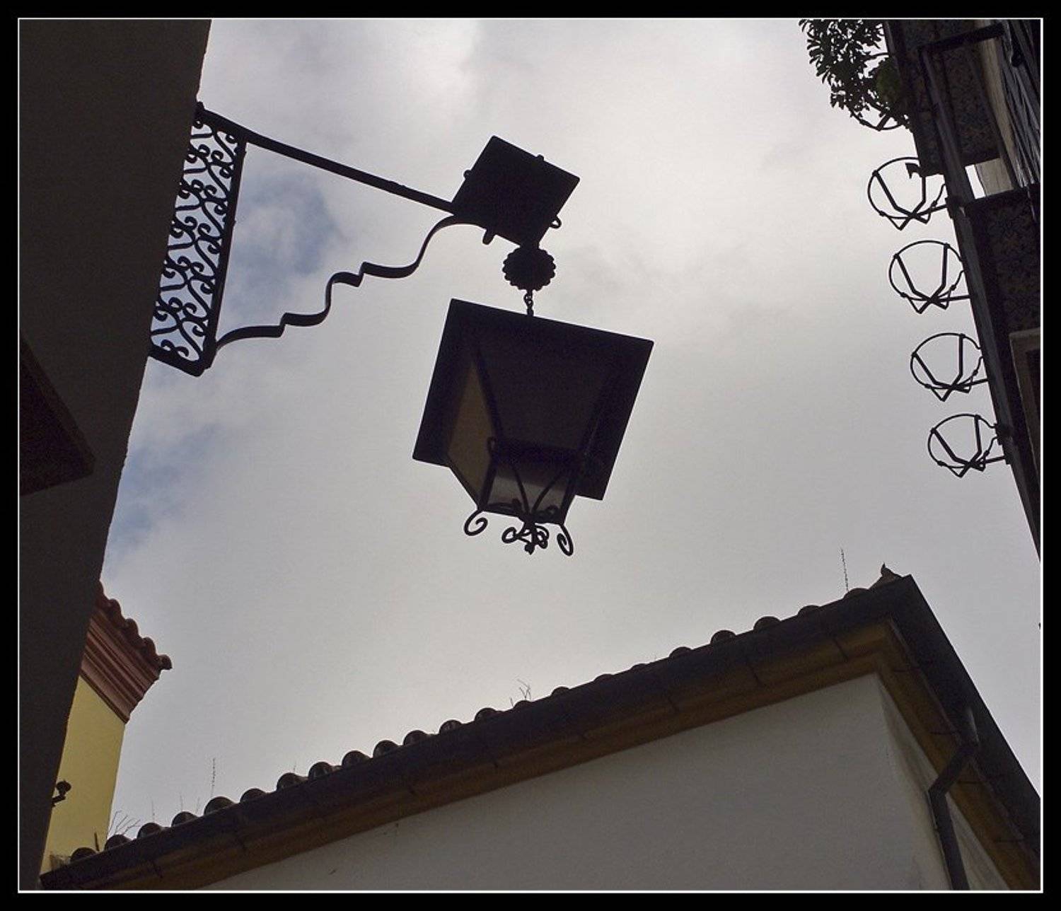 , Лунный Ежик