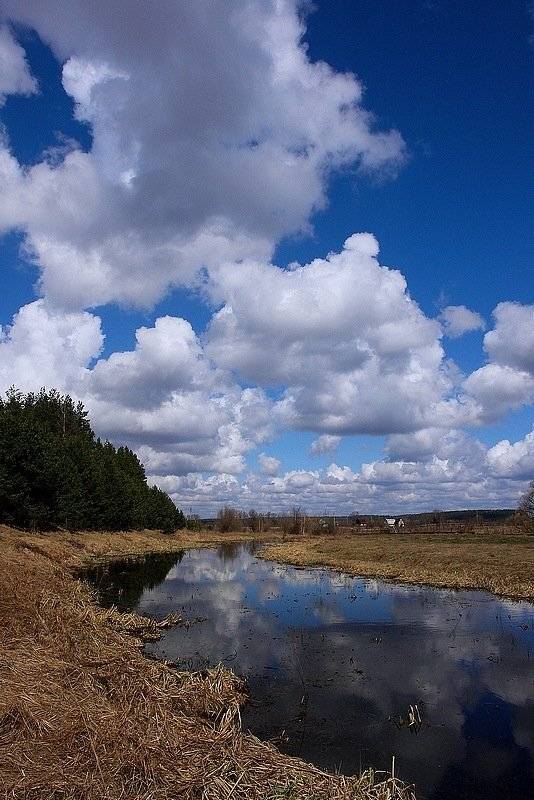 лес, речка, поле, весна, лепота, senjor