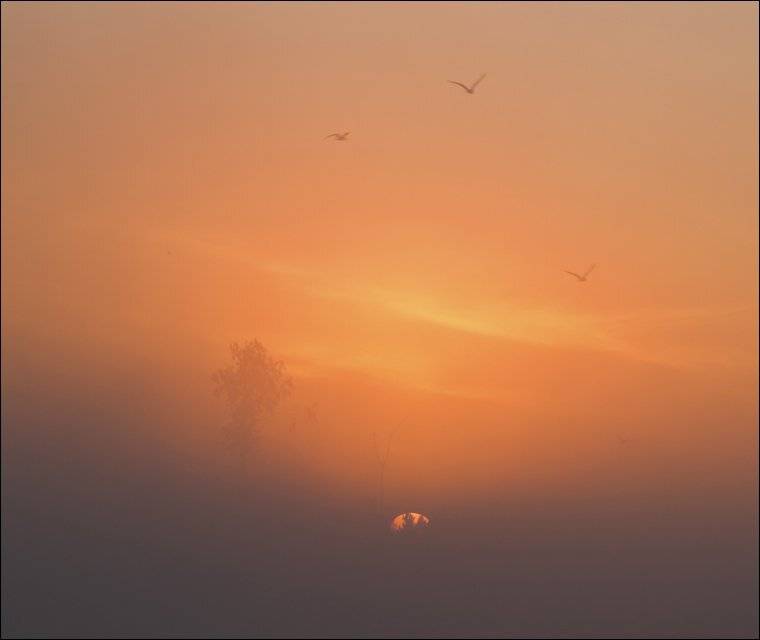 болото, Сергей Чубаров