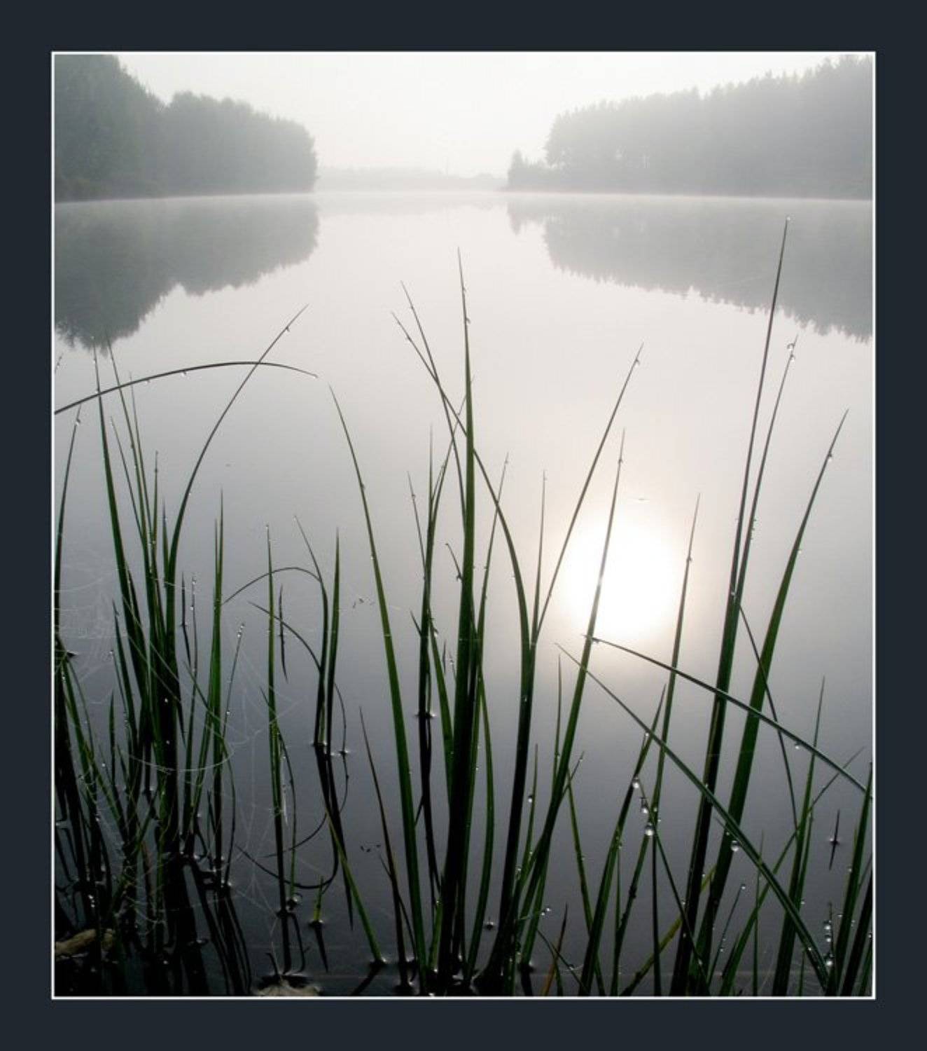 хрустальное утро..., света ошметкова, Света Ошметкова