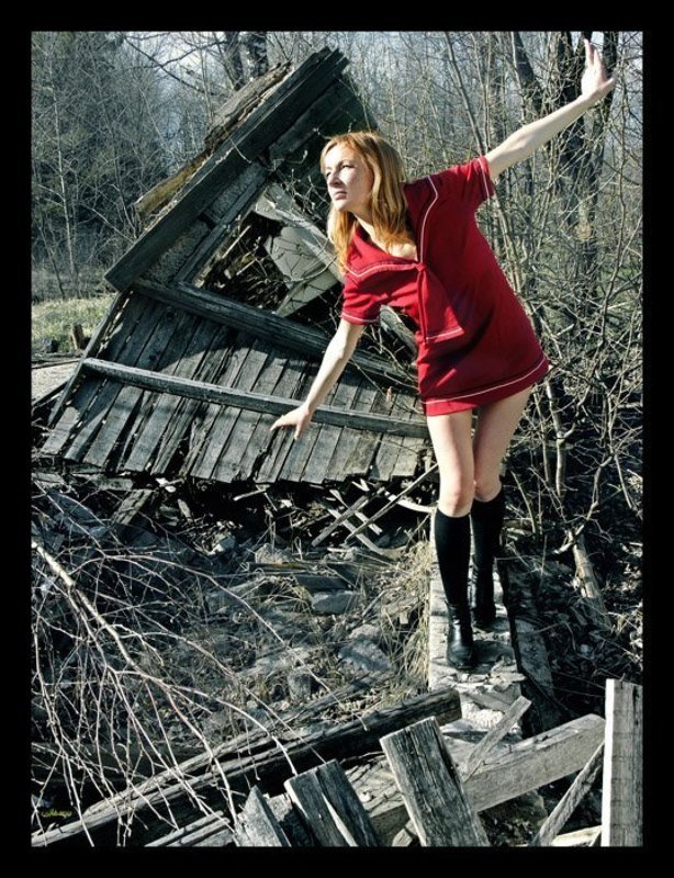 noroots no roots to fly фото превью
