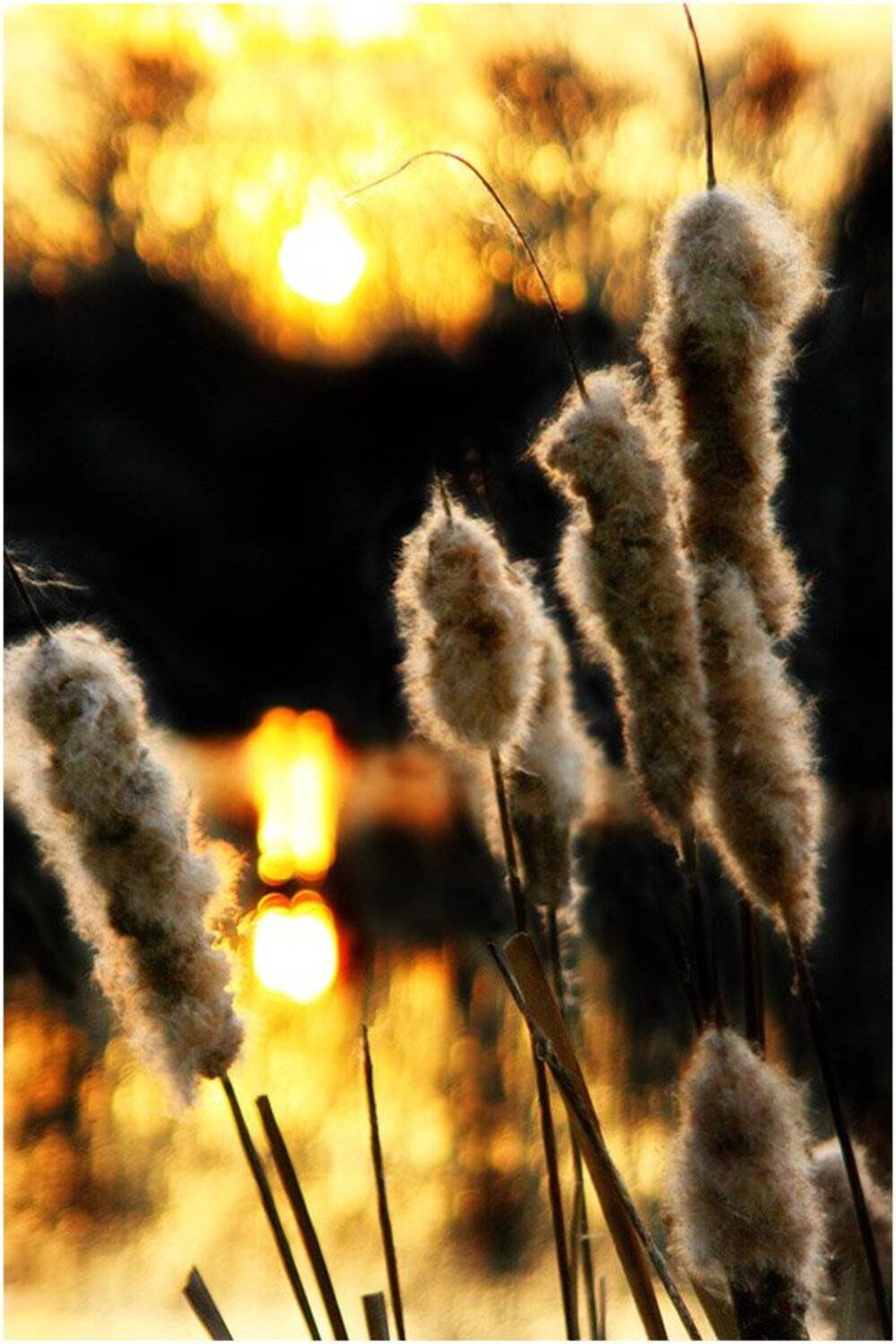 , Александр Батурский