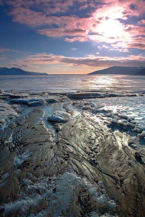 магадан, Sir Fisher