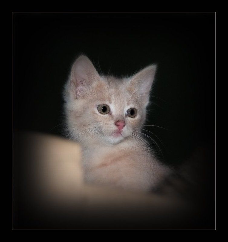 Малец фото превью