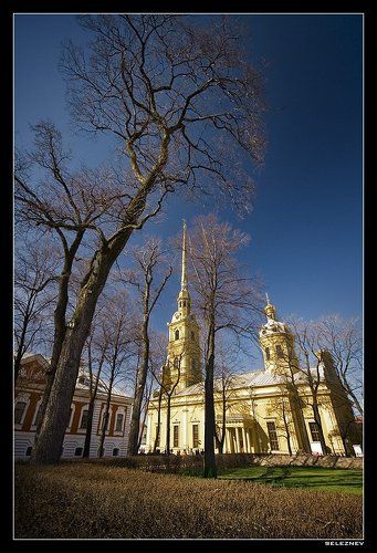 гигантская растительность заячьего острова