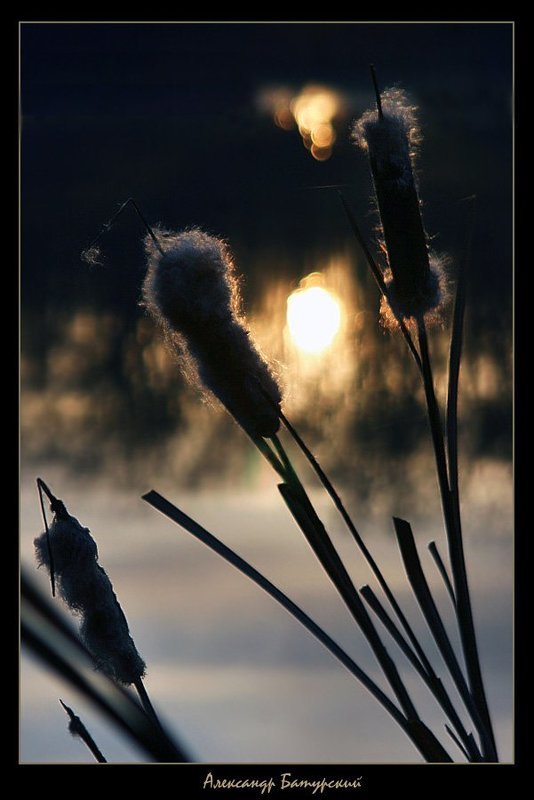 Утренний моцион фото превью