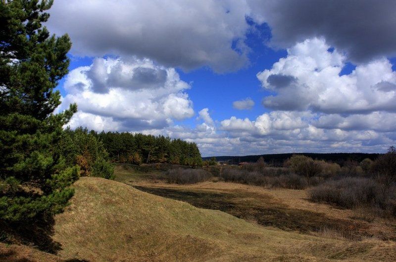 лес, овраг Про овраг на краю леса фото превью