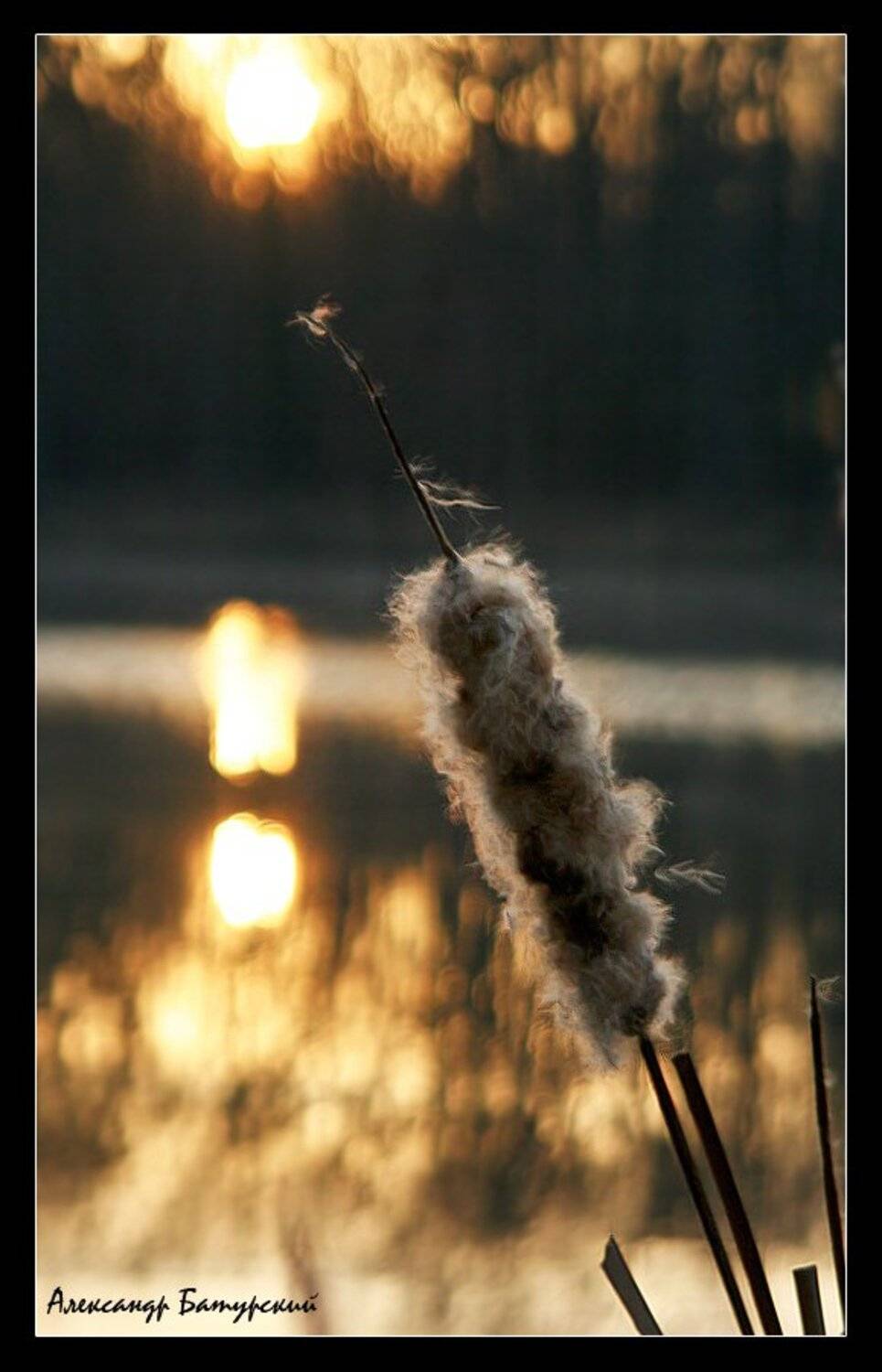 , Александр Батурский