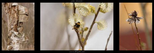 Жизнь продолжается....\триптих Весна\