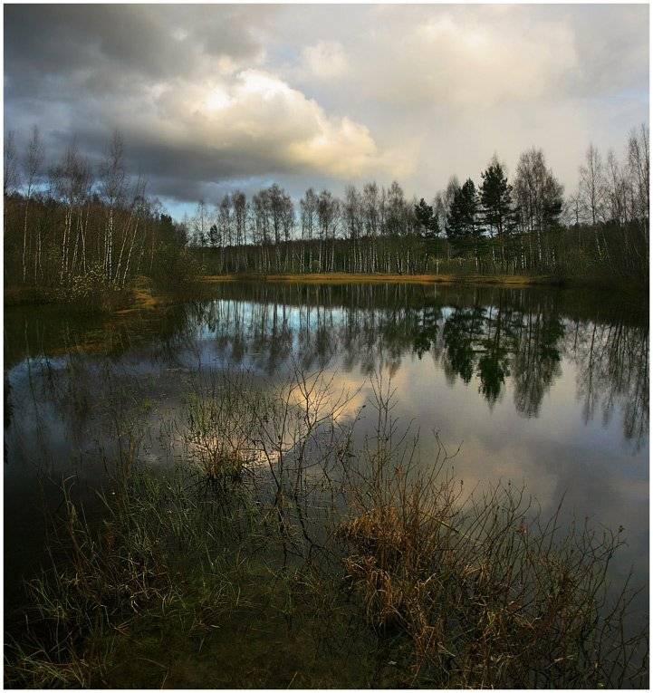 , Сергей Прокошин