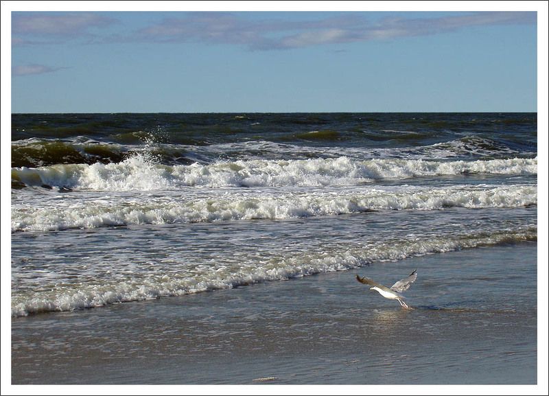 пиллау, балтийск, море, лето На Балтике фото превью