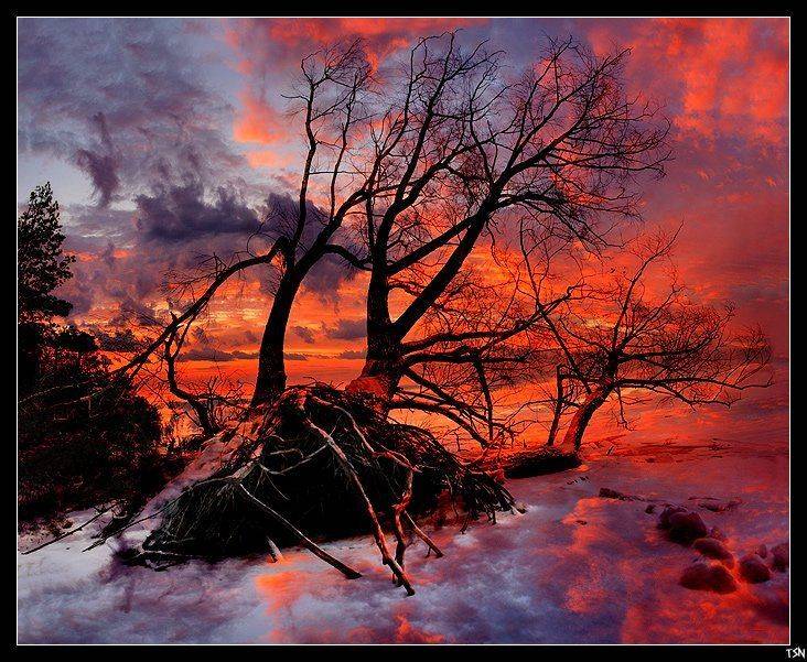 волга, Сергей Требунских