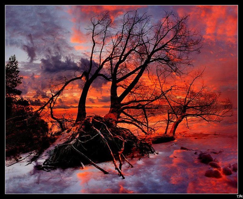 волга Буйство красок фото превью