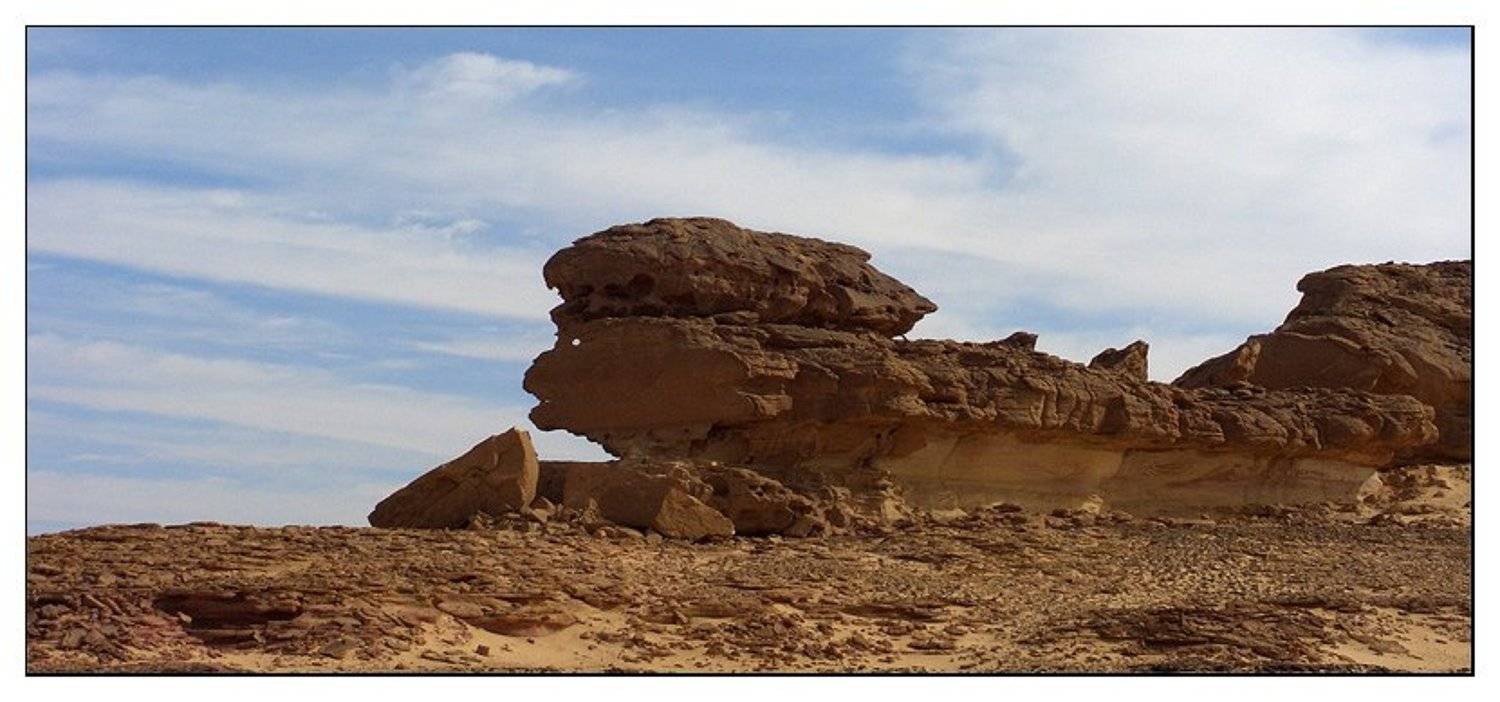 , Лунный Ежик