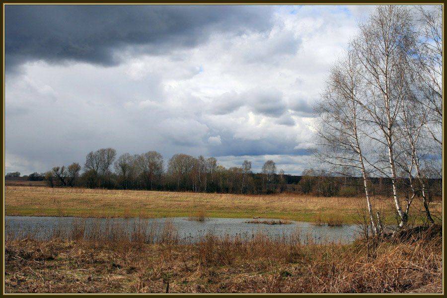 весна, тучи, березы, Георгий