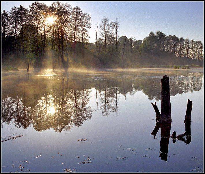 весна, река, рассвет, солнце, туман, Григорий Иващенко