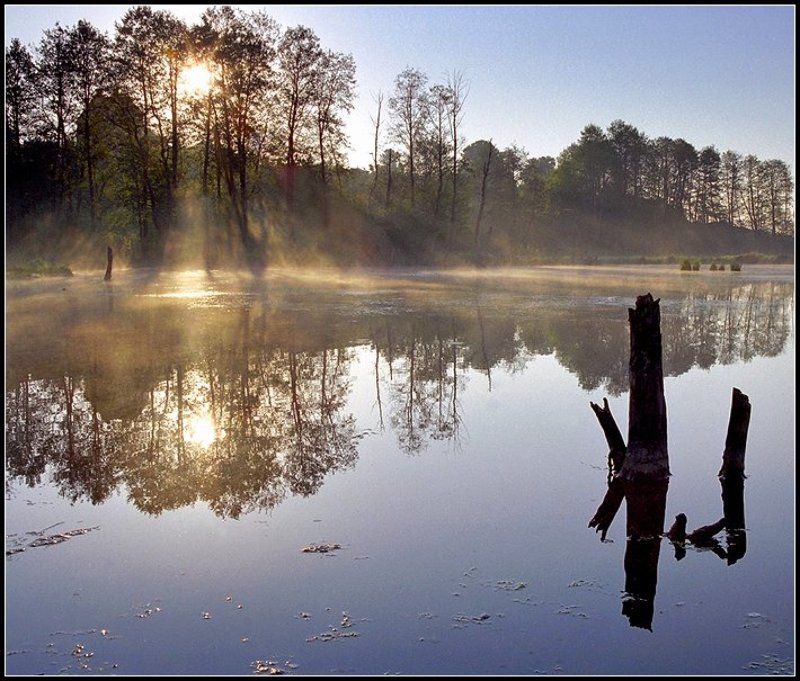 Весна... фото превью