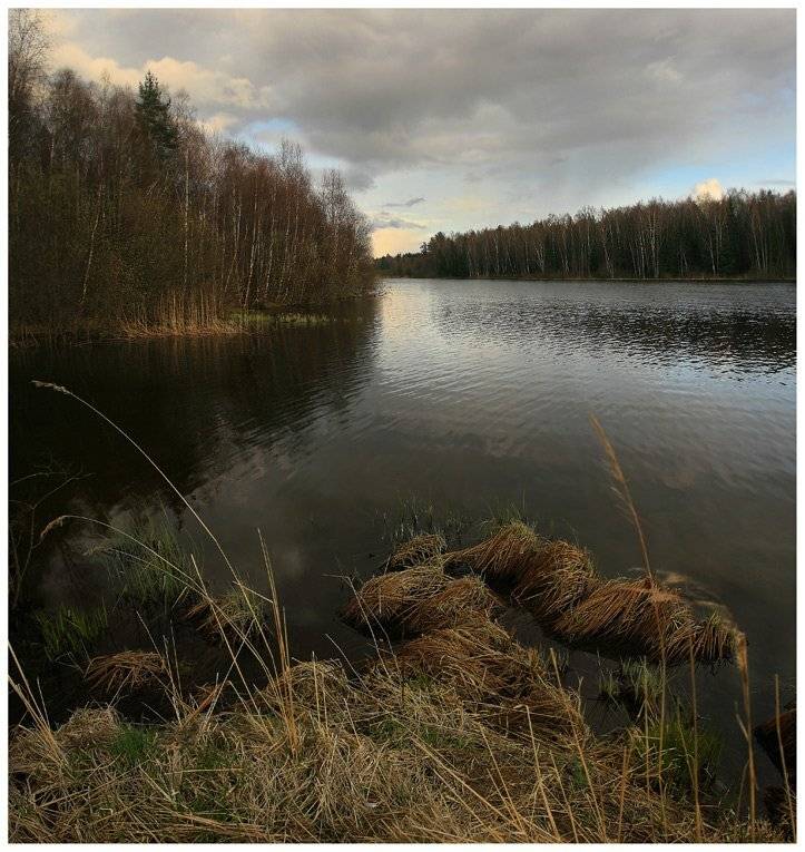 , Сергей Прокошин