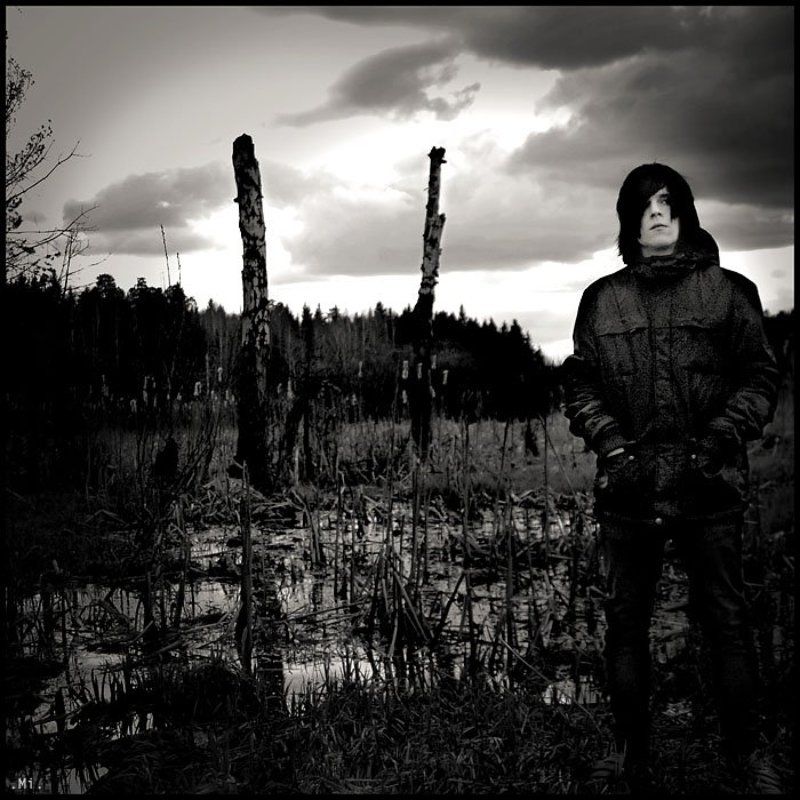 криком птицы. фото превью