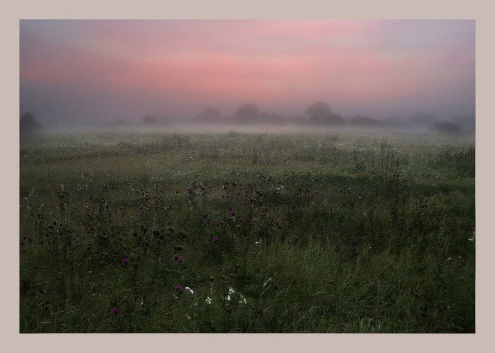 , Сергей Прокошин