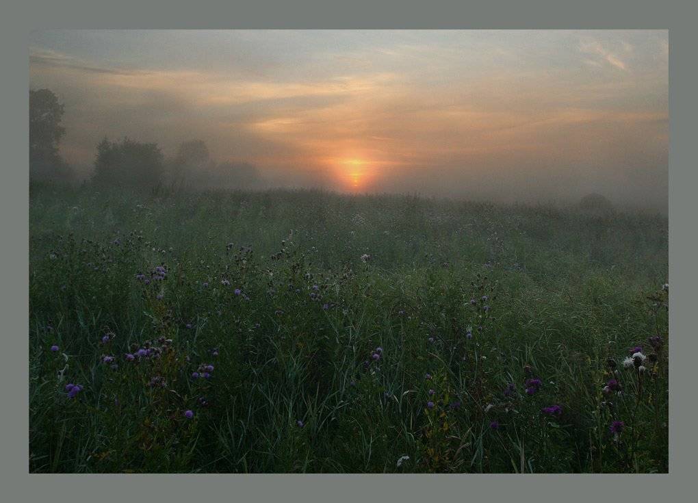 , Сергей Прокошин