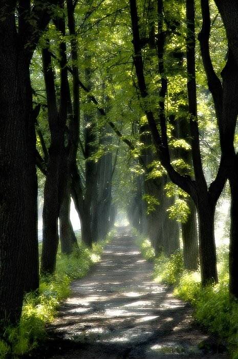 измайлово, Dmitriy Egorov