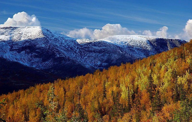 кольский ,хибины *** фото превью