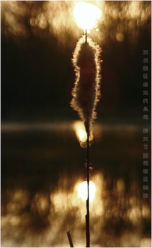 Пронзить солнце фото превью